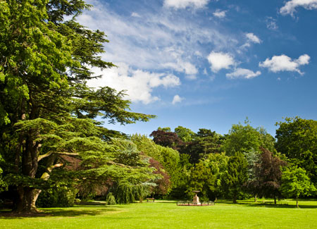Stewart Park